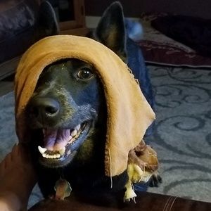 Meet your Posher, Alexis